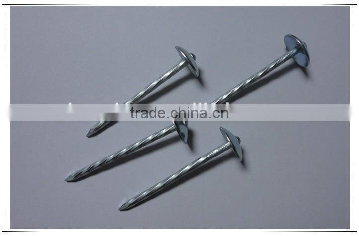 1.5"*14G Umbrella Head smooth plain Shank Roofing Nail china factory