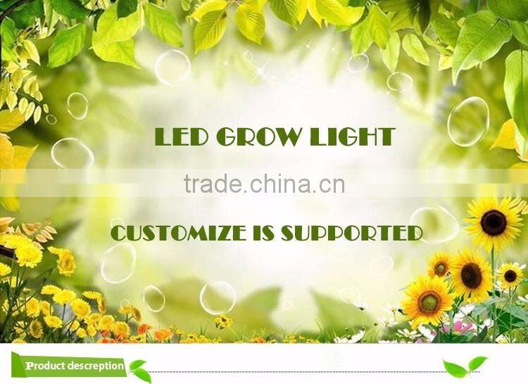 Hot wholesale sunflower type 600W high eneegy indoor grow light