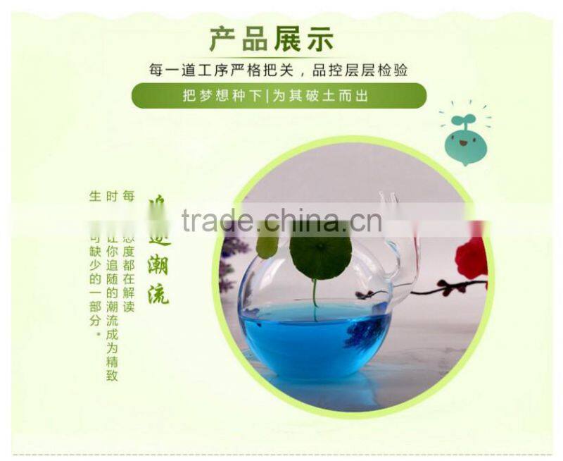 Indoor creative delicate home decoration hydroponics container snail shaped glass flower vase