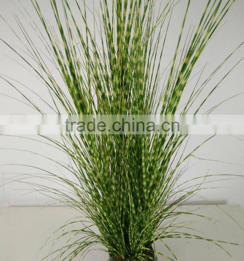 fake zero grass bonsai artificial decorative onion grass potted grass