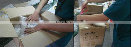 new items blown vinyl LED lighted dinosaur toys Easter decor