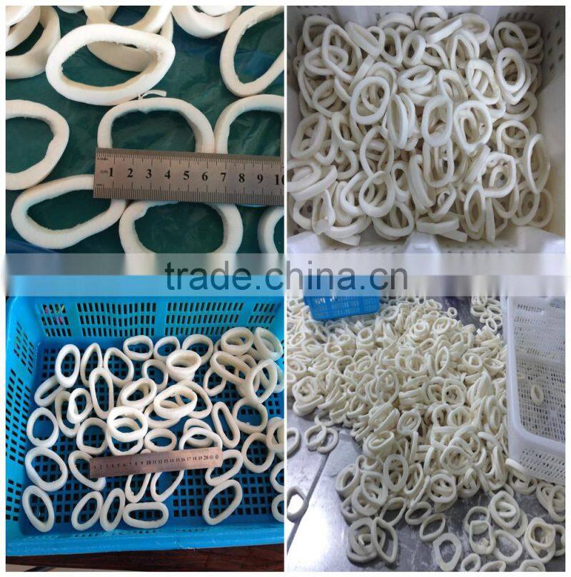 2016 Hot sale high quality illex squid ring from China