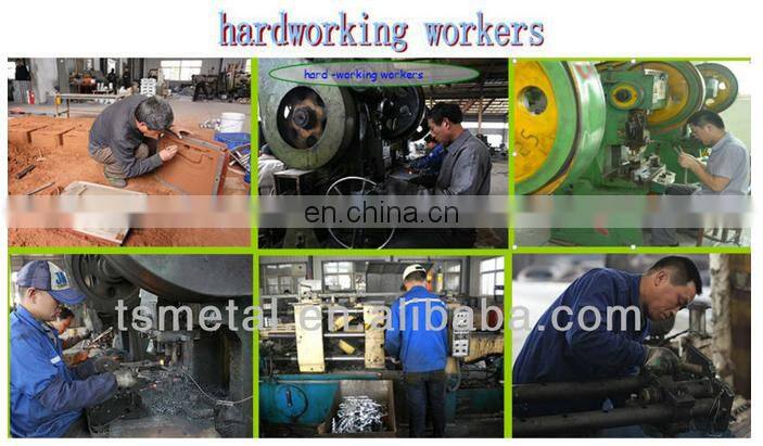 Steel Material Iron Tent Peg Steel Stake Nail