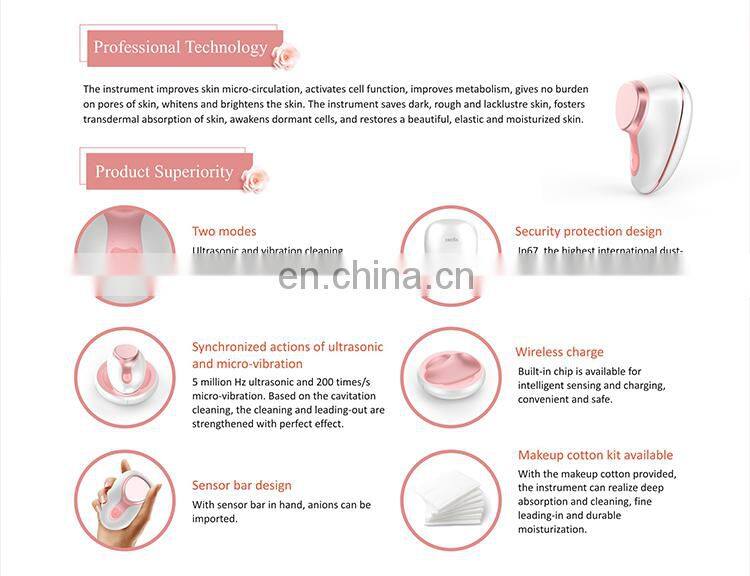 DEESS home use anion beauty ultrasonic generator