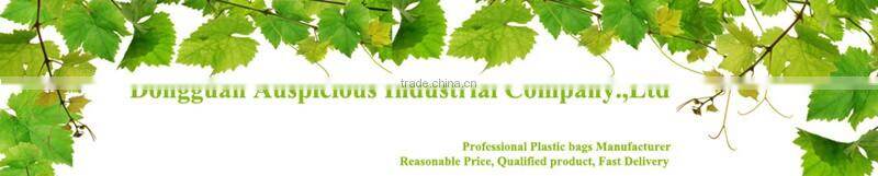 New Customized Plastic PVC Handle Bag from Pvc Bags Manufacturer