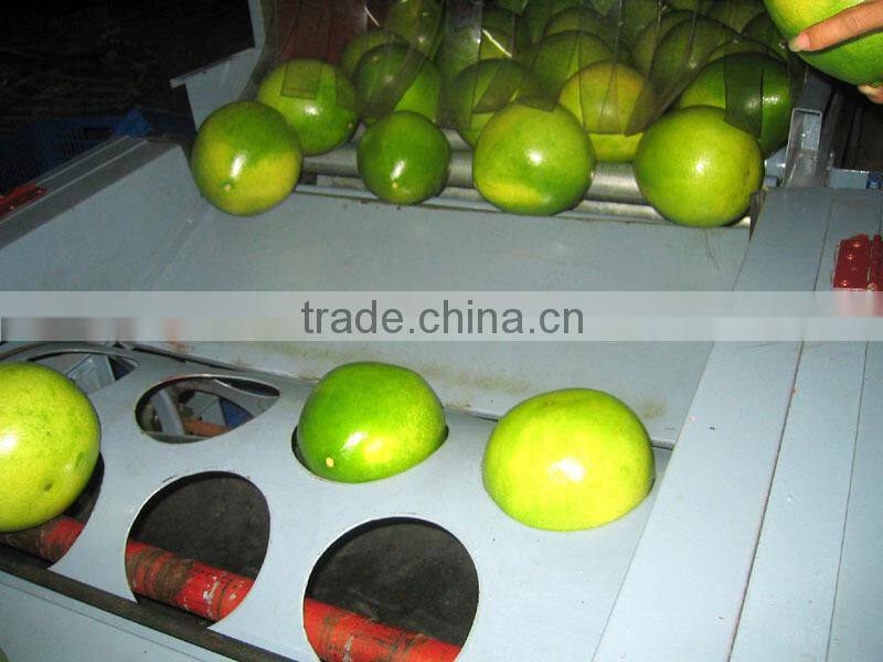 2015 new crop of the pomelo