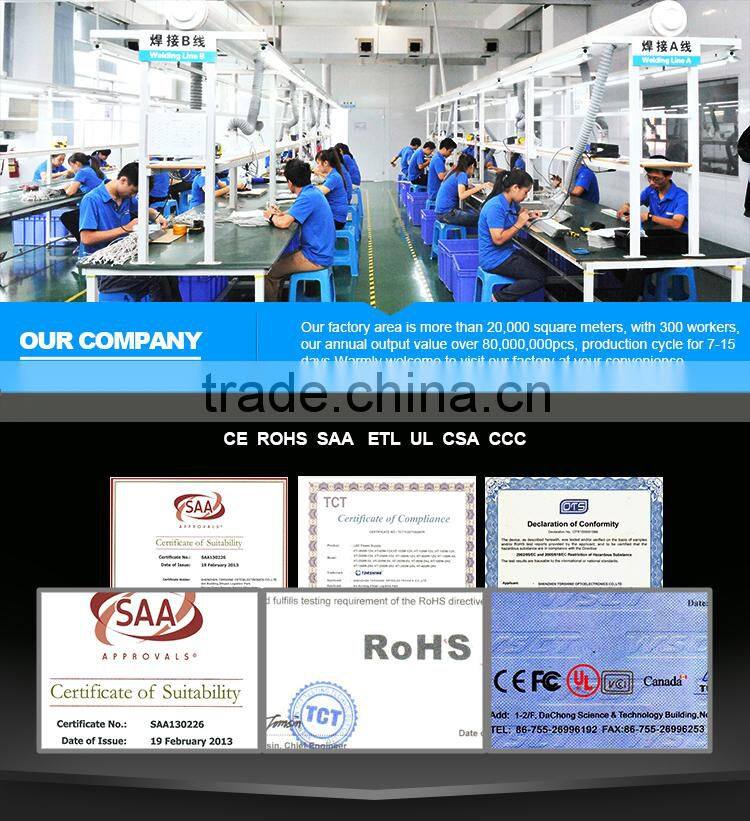 Waterproof SMD5050 Led 60 LEDs per meter Blue strip LED5050