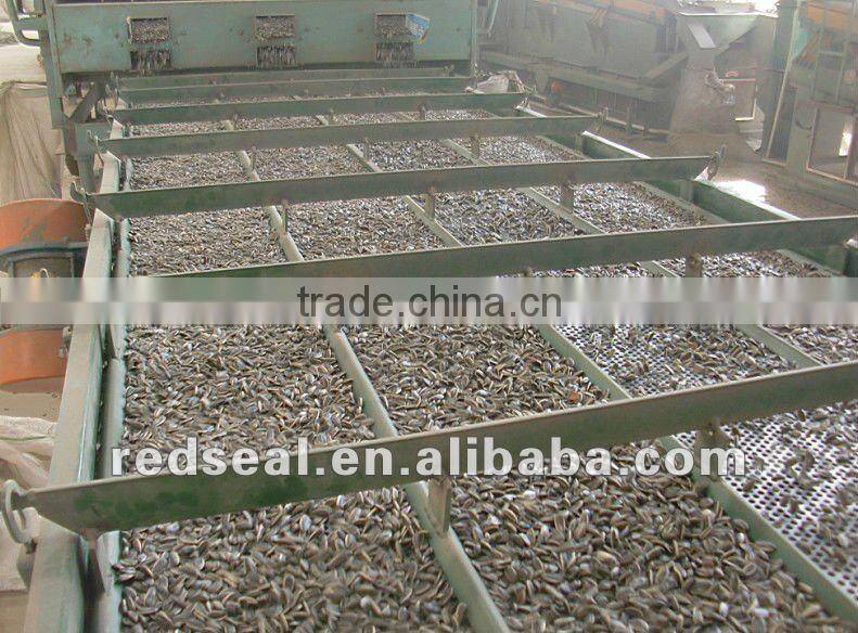 2014 White Sunflower seeds