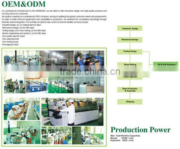 Flat Wireless Optical Mouse