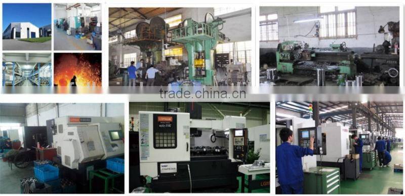 Sanitary Stainless Steel blank Cap