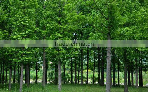 sodium polyacylate SAP inflatable sandbag