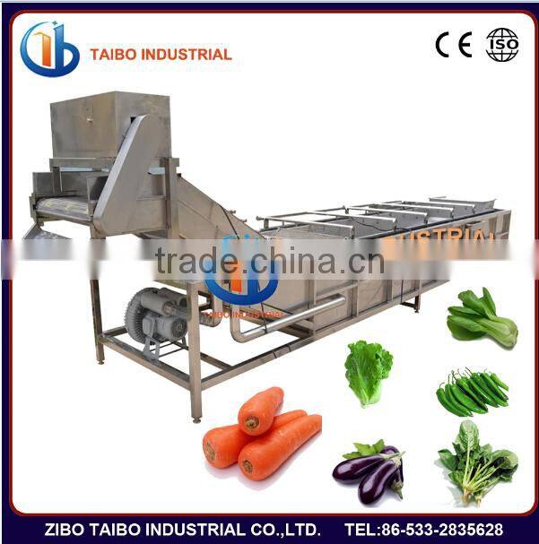 air bubble fruit and vegetable washing machine SS304 apple washer