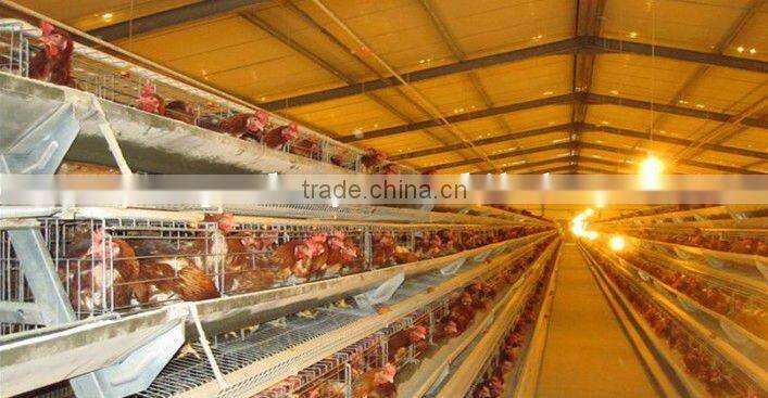 prefab chicken house stainless steel tube building