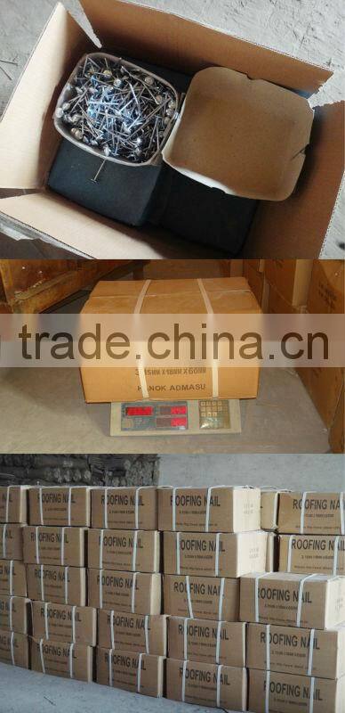 9 bwg eletro galvanized roofing nail with umbrella head