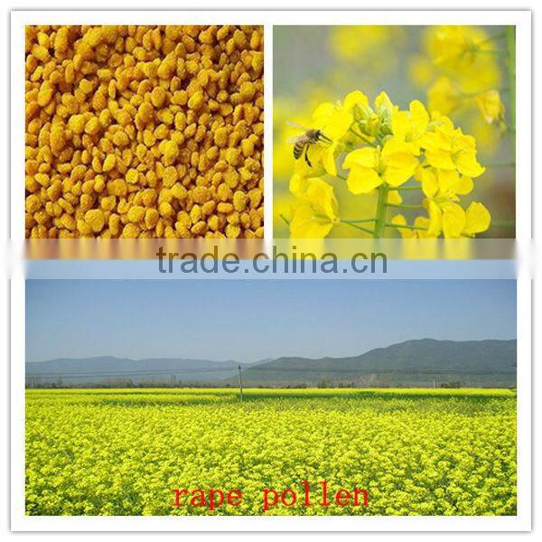 Bee pollen in bulk