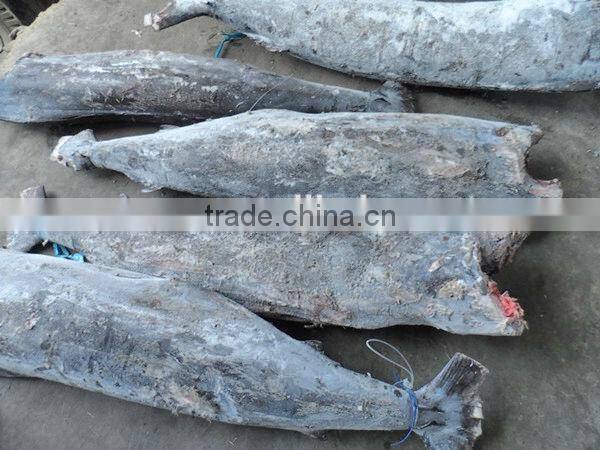 frozen blue marlin fish export fish