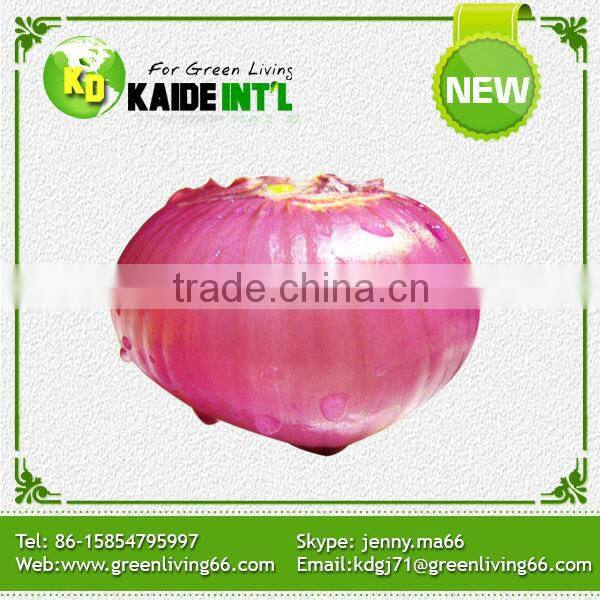 Popular Equipment Fresh Big Onion