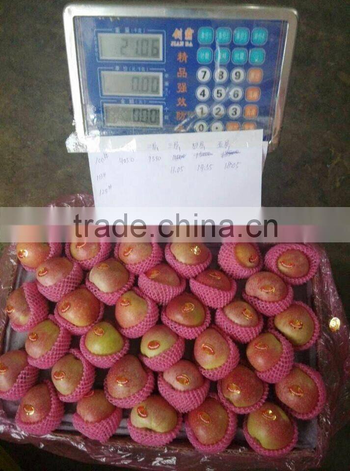 150-198# qinguan Apple