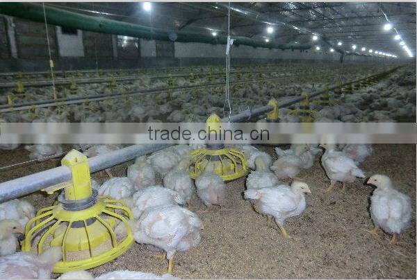 Broiler Feeder Broiler Pan Feeding System
