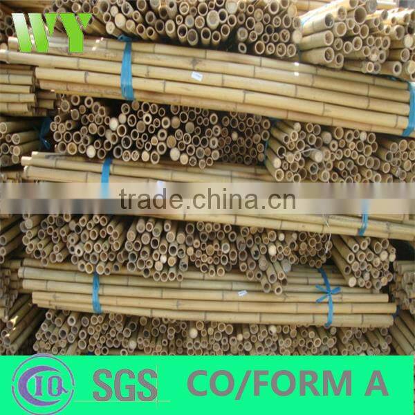 WY-221High quality bamboo poles bamboo canes bamboo stakes in raw materials for agriculture