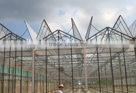 Large size Multi-span Glass Greenhouse/commercial Greenhouses