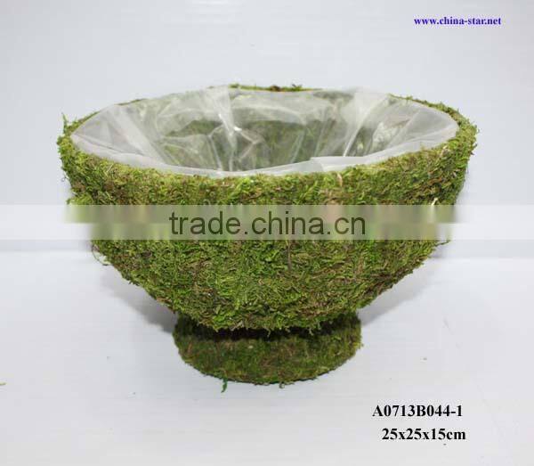 salim bowl shaped planter