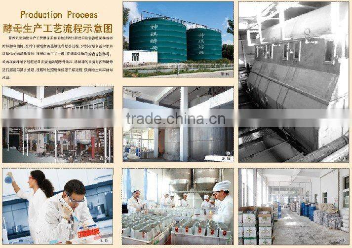 power baker instant dry yeast 500g package light yellow yeast products made in China