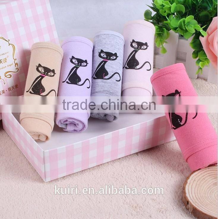 2017 Sexy Physiological Briefs Leakproof Menstrual Period Lengthen The Broadened Female Underwear Health Seamless Women Panties