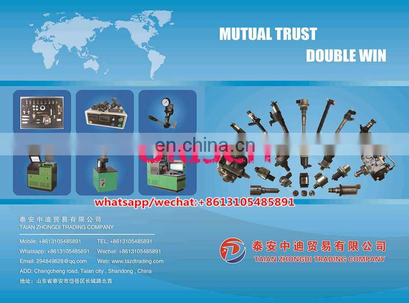 338004X450 Original and new common rail  Injector EJBR05501D