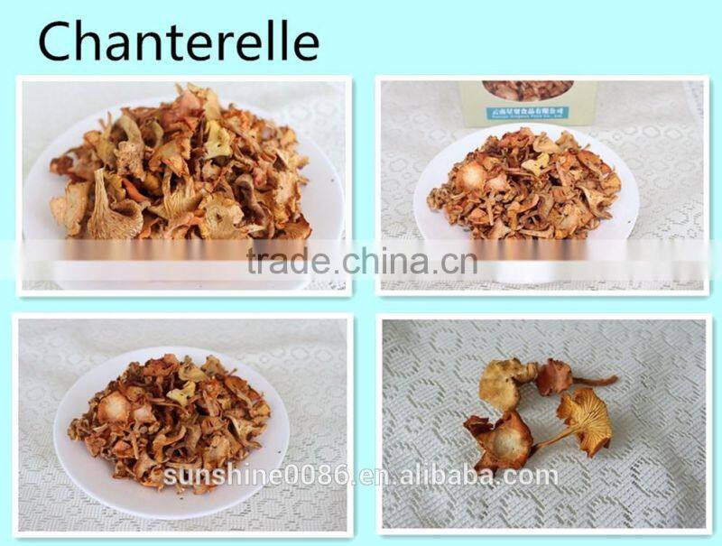 Healthy Green Natural Morel Mushroom High Quality Morel Mushroom