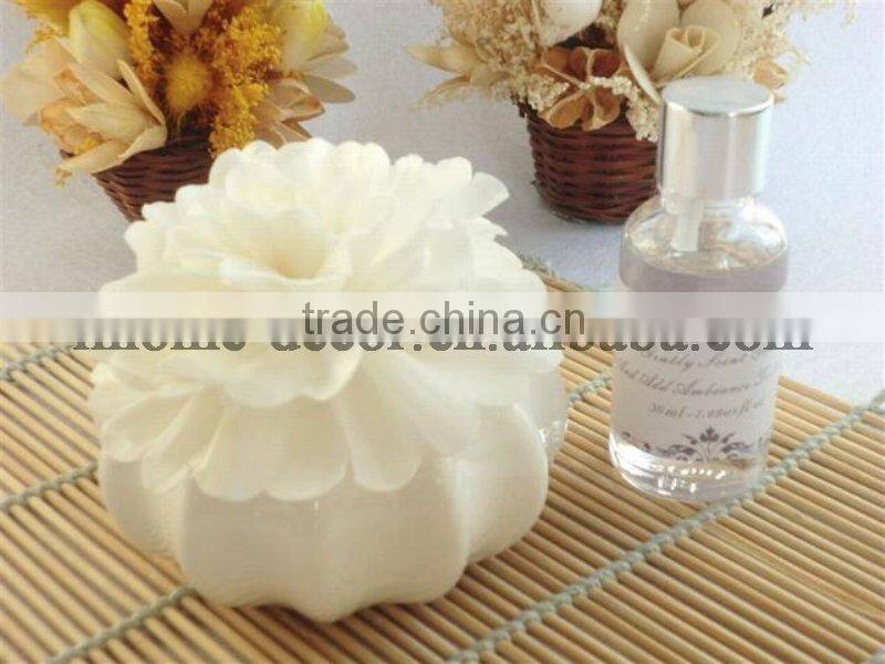 100ml ceramic aroma diffuser/aroma reed diffuser /home fragrance diffuser
