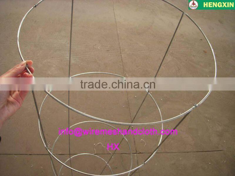 tomato plant supports