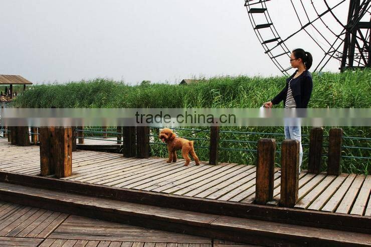 Free Samples Pet Products Retractable Dog Leash Dog Products Factory Direct Sale