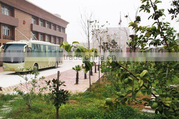 Hand-Push Airless Road Marking Machine