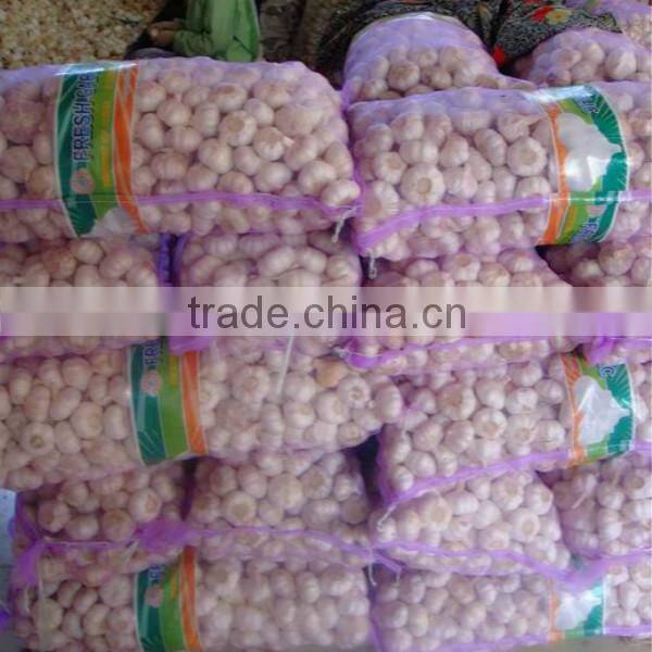 hot sale 2015 normal white garlic