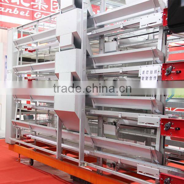 Best automatic sheds for poultry broiler chicken farm