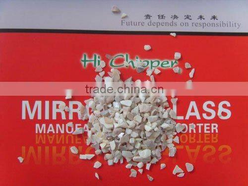 sea shell for terrazzo