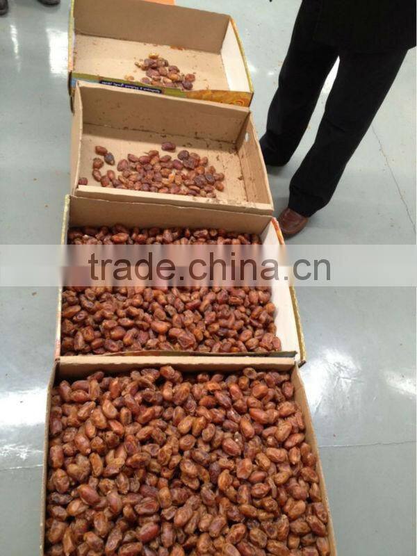 Date Sorting machine