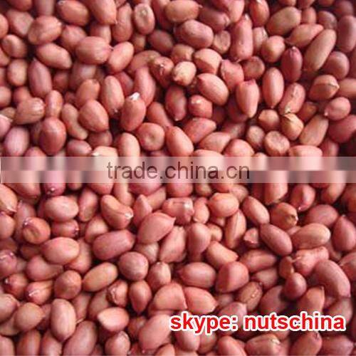 peanut kernels 21/23 24/26 24/28