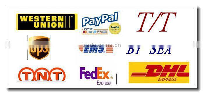 RGBW mini disco ball laser light