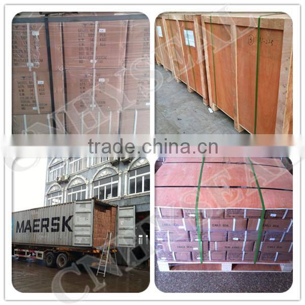 CH307 disposable seal barcoded straps of plastic bag