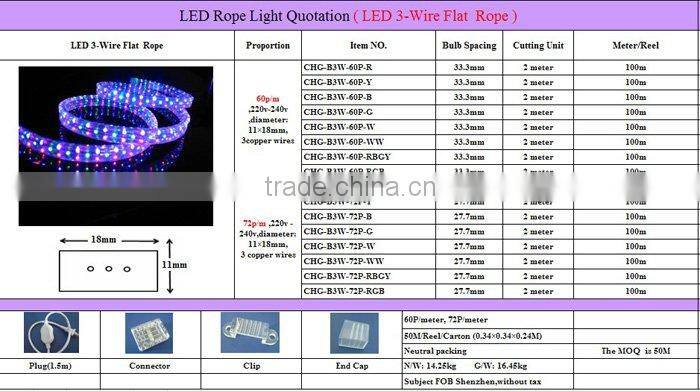 LED Rope light 3 wire flat