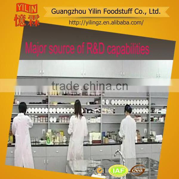 Garlic Flavor Marinated Seasoning Powder made in china