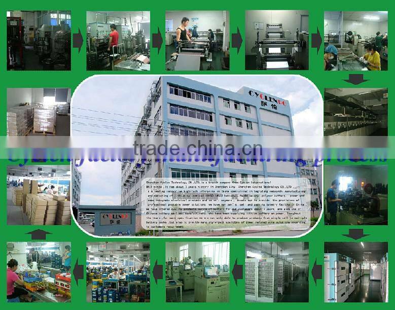 6V AAA High discharger rate Ni-CD Battery pack ,Nicd battery pack