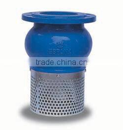 Stainless Steel Foot Valve SS304/SS316 Foot Valve ANSI Flange foot valve with strainer