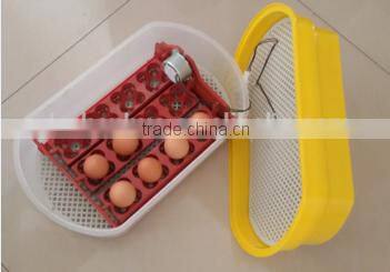 Small incubator ZH-12 automatic egg incubator for home use