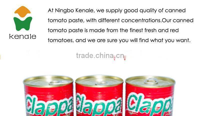 70g to 4.5kg Wholesale tomato paste usa 210gx48tins