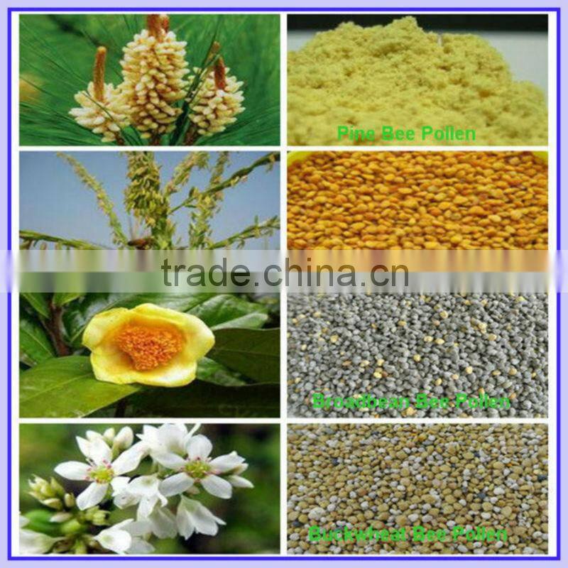 100% Pure Food Grade Flower Pine Pollen Powder