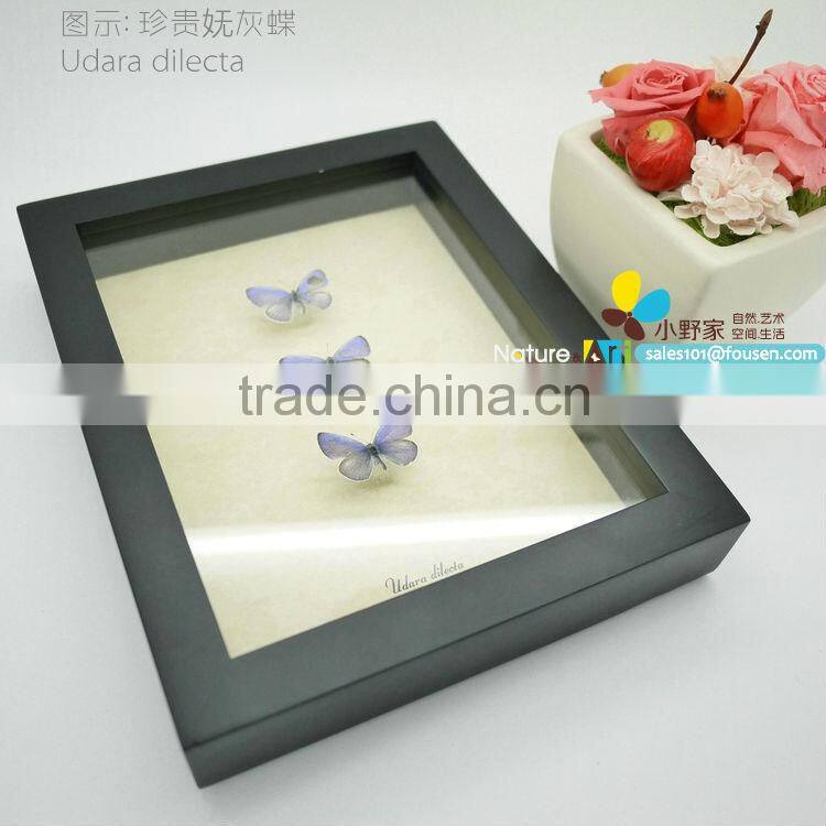 FOUSEN(017) Nature& Art natural species handcraft ornament