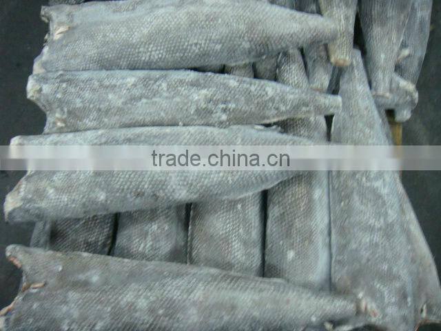 frozen fresh oil fish rough skin